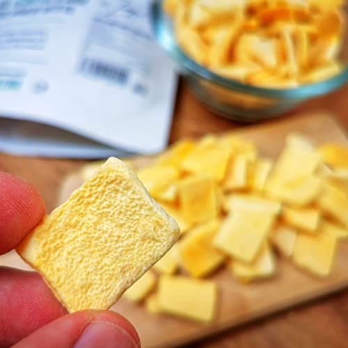 Freeze Dried Mango Chunks | Pure Natural Freeze Dried Fruits | GF Raw Vegan | Mill for Mango Powder or Eat as Dry Mango Dried Snack | Fresh Fruit Taste | Pure Dried Mangoes ZingyZoo (100g)