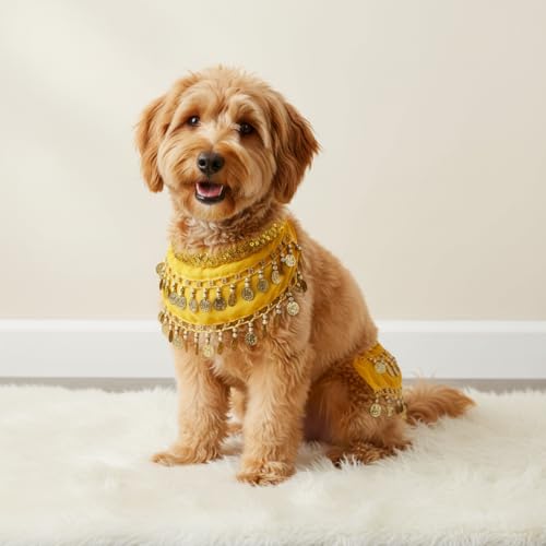 Falda de bailarina para perros con cascabeles miniatura 7