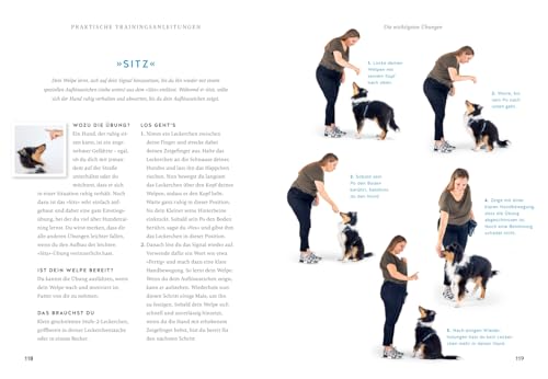 Der Welpen-Alltags-Helfer: Erziehung, Training und Probleme souverän meistern - stressfrei durch die erste Zeit mit jungem Hund (GU Welpen)