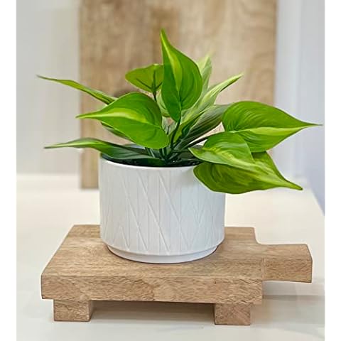 Kurrajong Farmhouse Mango Wood-pedestal-stand | Mango wood pedestal board | Wood riser board for home decor | display stand for plants Cover
