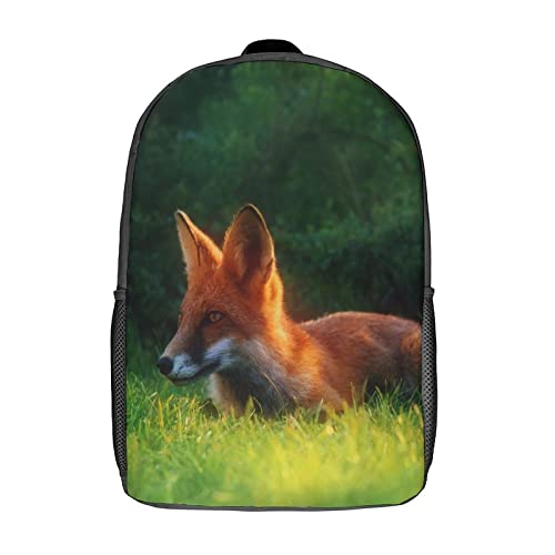 Sac à dos scolaire enfants 17 pouces Fox pour le collège