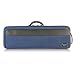 Bam Artisto Violin Case 2002B (Blue)