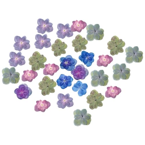 30 flores prensadas secas naturales para manualidades