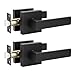 Premium Matte Black Finish Knob Passage Heavy Duty Door Handle Set Durable Door Hardware, Door Handles for Left or Right Handing, Interior Door Handle 2 Pack 2.07 lb One Lever