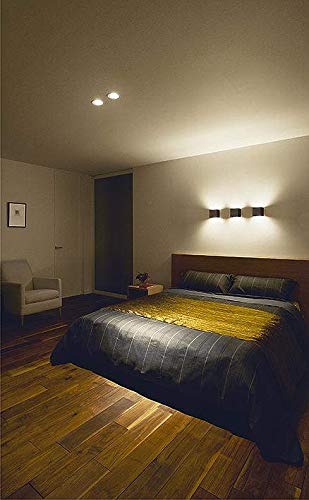 Amazon.co.jp: 大光電機（DAIKO） ユニバーサルダウンライト LED