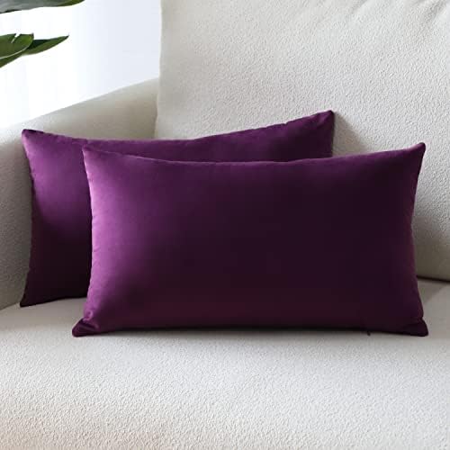 Sungeek Pack of 2 Velvet Cushion Covers Soft Decorative Pillow Covers with Invisible Zipper Luxury Throw Pillow Cases for Home Decor Sofa Bedroom Living Room 30x50cm Black
