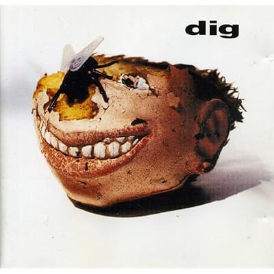 Dig