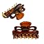 Tortoise Shell 1