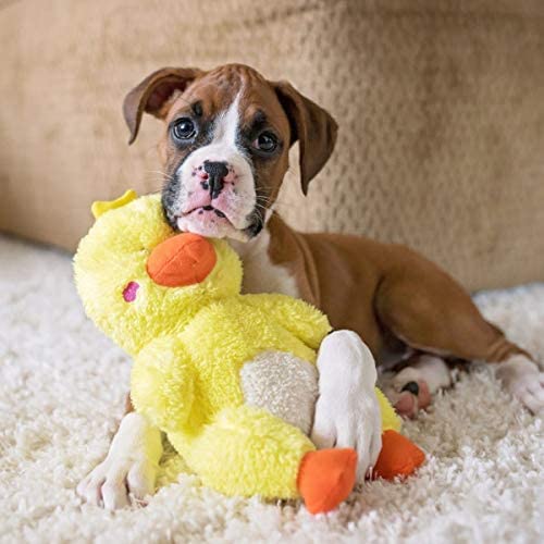 PawsnCollars Duck Squeaky Dog Toy (B0BPPK5STZ) Amazon Price History, Amazon Price Tracker