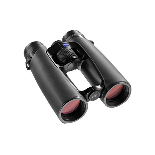 Zeiss Victory 8×42 SF Fernglas für Erwachsene