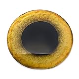 GLASS EYES: Glass eye cabochons for jewelry making, sculptures, taxidermy, and other crafting projects. FLATBACK CABOCHONS: Slightly domed on the surface of the eye, and flatback on the backs. VERSATILE: Use these glass eye cabcohons in fx puppertry ...