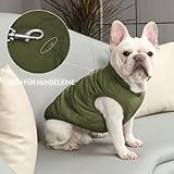 JoyDaog Fleece Hundejacke für Winter kaltes Wetter, Extra Weicher Hundemantel für Kleine Hunde, Winddichte Welpen Weste, Grün XS