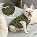 JoyDaog Fleece Hundejacke für Winter kaltes Wetter, Extra Weicher Hundemantel für Kleine Hunde, Winddichte Welpen Weste, Grün XS