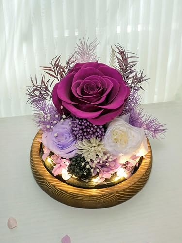 Rosas eternas naturales RENAISSANT en cúpula de cristal con iluminación LED decorativa 8