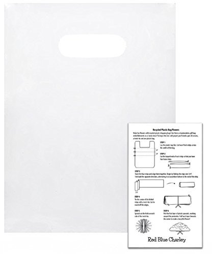 Plastic Shopping Bags | 100 Pack | Handle Bag for Retail | 1 Craft Insert … (Frost - 9x12)