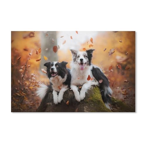 Diamond Painting Kit Maison Décoration Cadeau Idéal Thème Border Collies