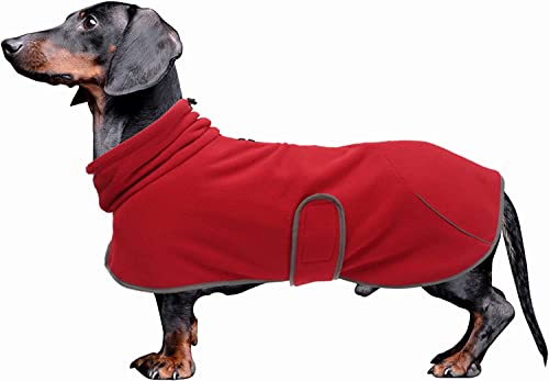 Babepet - Abrigo de Invierno para Perro, Vestido, Perros Salchichas, Ropa Exterior para Perros con Bandas Ajustables y Agujero de arnés, para Perros pequeños y medianos, Color Rojo y XL
