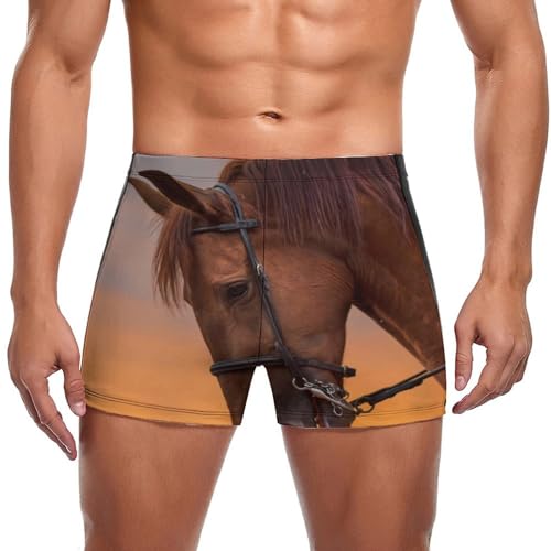 Maillot de bain marron homme motif cheval pour vos vacances de vacances