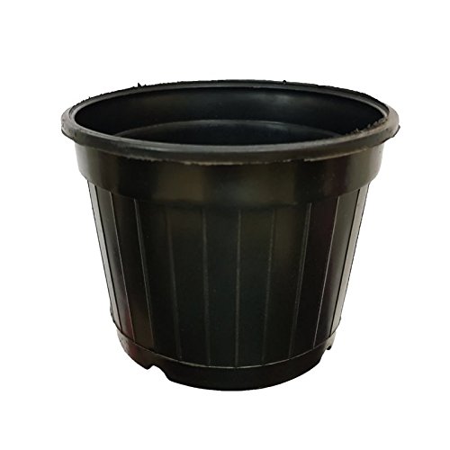 Unique Plastic Nursery Pots (4inch, Black, 12Pieces) Amazon.in