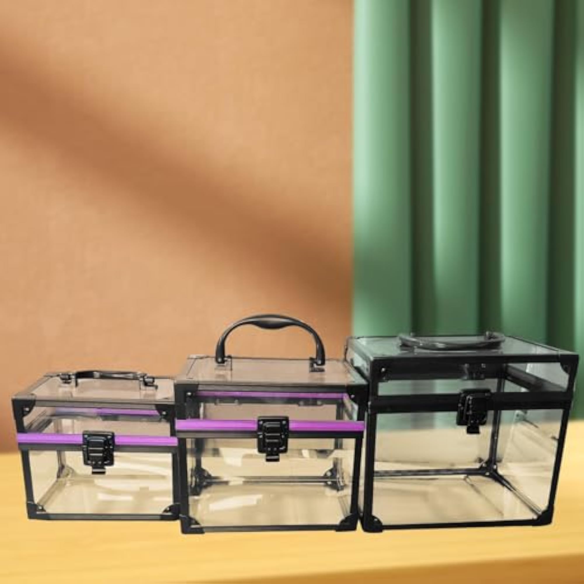 Clear Portable Cosmetics Train Case with Handle