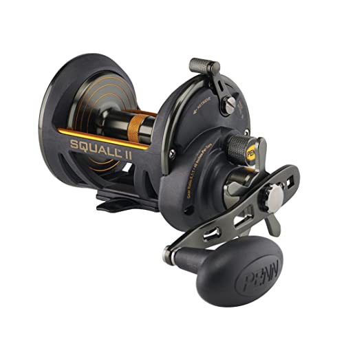 Penn Squall II Star Drag Conventional Fishing Reel, SQLII30SD, Black Gold