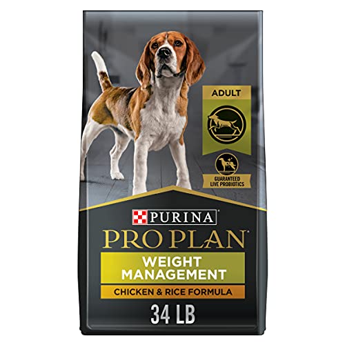 Best Dog Food for Vizsla in 2020 Top 9 Vet Brands