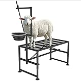 Bknius Goat Stand with Feed Bin for Milking, 600LBs Goat Trimming Stand, Livestock Table for Sheep Trimming Hoof and Milking, Iron Black, Adjustable Size