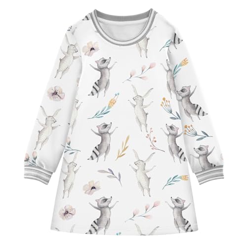 Girls Dresses Toddler Girl Clothes Cute Raccon Deer Bunny Animal Winter Casual Long Sleeve for Kids 2-8 Years