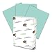 Hammermill Turquoise Colored 20lb Copy Paper, 8.5x11, 1 Ream, 500 Total Sheets, Made in USA, Sustainably Sourced From American Family Tree Farms, Acid Free, Pastel Printer Paper, 103820R