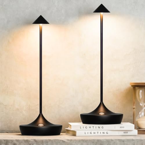 Barryca 2-Pack Cordless Rechargeable LED Table Lamps,