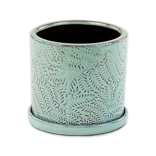 Vaso de samambaia pequeno com pires