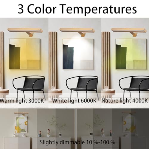 2 Lumières d'image sans fil rechargeables de 16 pouces avec télécommande