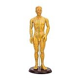 YZJYB 50cm Acupuntura Modelo Humano Meridiano Acupunto Chino Medicina HD Letras Mano Puede Girar Anatómico Médico Anatomía Modelo para La Ayuda de Formacion Educativa Medica