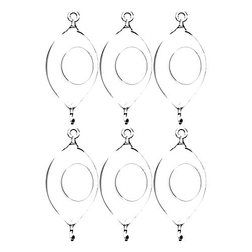 WGV Hanging Terrarium – 3.5 x 7 in, oblong glass vase with double hooks