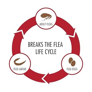 Ultra Flea And Tick Prevention For Dogs – Dog and Puppy Treatment and Control – Mosquito Repellent – XL, Fast Acting Waterproof Topical Drops, 4 Month Supply