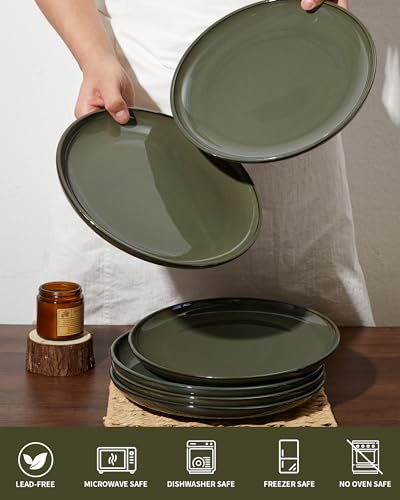 Image of Pokini Ceramic Dinner Plates Set of 6, 10inch Salad, Dessert Plates Dishes