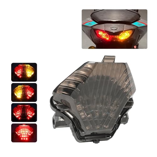 Feux arrière LED intégrés pour YZF-R3 R25 et MT-03 2014-2024