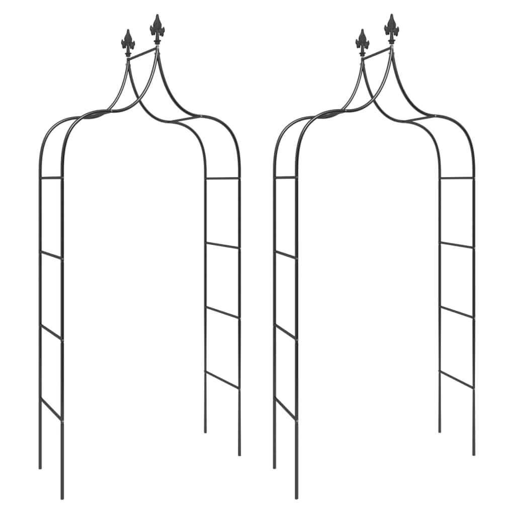 vidaXL Arches de Jardin 2 pcs Noir 120x38x260 cm Acier