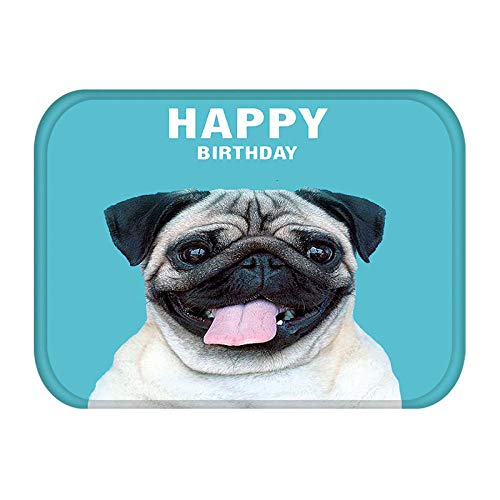 WDYKYQAl Baño Alfombra Alfombrillas De Entrada Perro De Navidad Perro Divertido Pug Bulldog Francés Cocina Alfombra De Sala Alfombra De Baño Antideslizante Resistente Al Agua -M Cover
