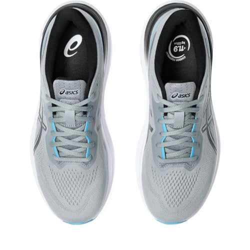 ASICS ASICS Men's GT-1000 13 4E Running Shoes, 10, Sheet Rock/Black