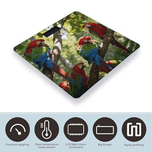 Báscula digital para baño Birdsong in The Forest 400 lb miniatura 3