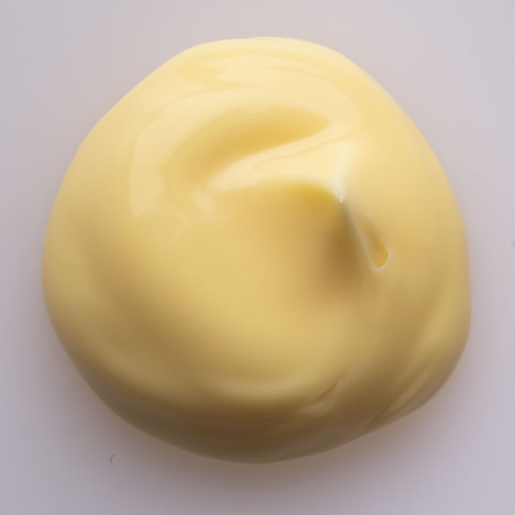 Hydra-Absoluta 50 ml Crema Viso nutriente e anti-age, con Acido Jaluronico, Coenzima Q10, Rosa Canina e oli vegetali, per pelli disidratate e con perdita di tono