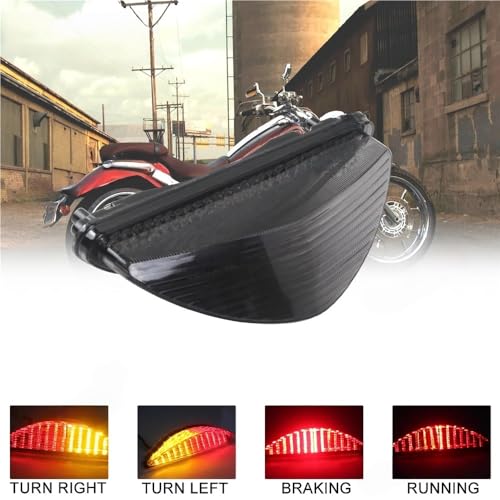 Luz trasera de freno integrada para moto Raider 2008 a 2010 con intermitentes 2