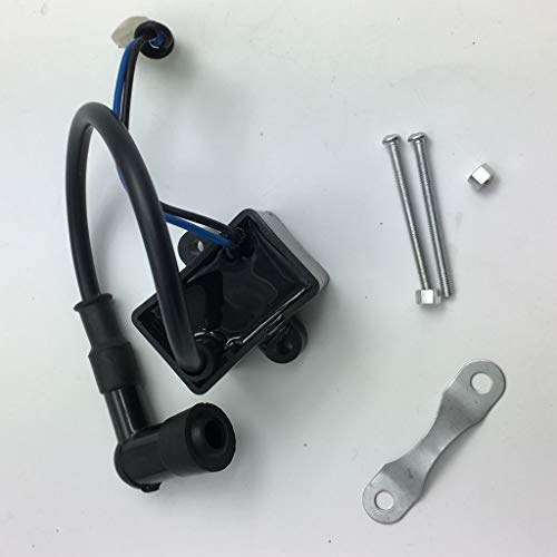 D DOLITY Black Capacitor Discharge Ignition - CDI - Coil/Performance CDI Electron Ignition Coil for 50cc/80cc Gas Motorized Bicycle