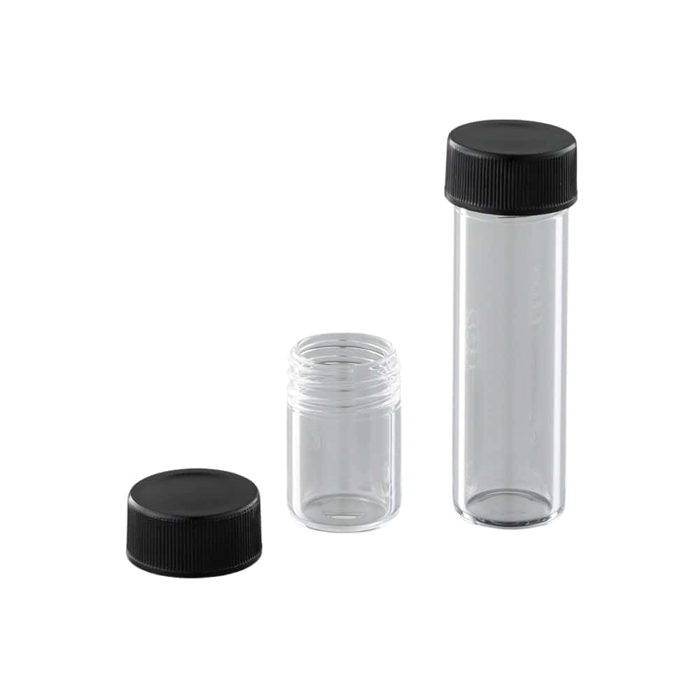 クロトン苗木 10本セット 約70?90cm