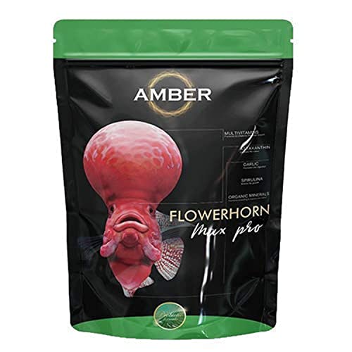 Image of TAIYO Amber Max Pro Flowerhorn Food (L), 100 G - All Life Stages, Powder, Fish