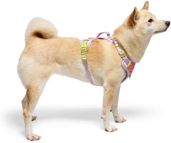 YOULY by Petco Adventure Reflective Dog Harness Pink X-Large