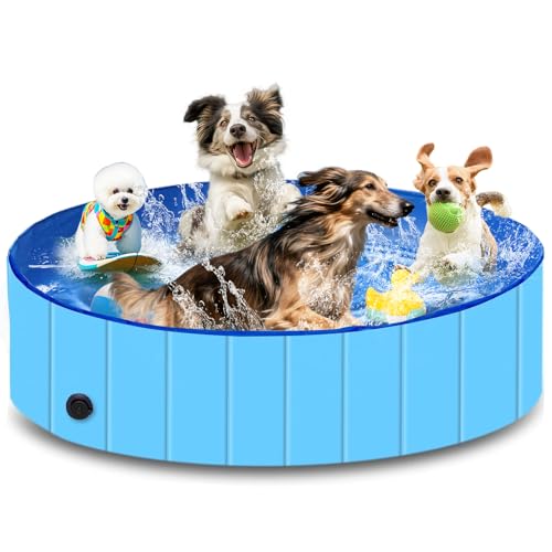 Piscina para perros, piscina plegable, resistente e impermeable para perros pequeños, medianos y grandes Bañera antideslizante con superficie resistente al desgaste para gatos y perros (XL-160*30cm)