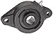NTN UCFLUX-1.11/16 Medium Duty Flange Bearing, 2 Bolts, Setscrew Lock, Regreasable, Contact and Flinger Seals, Cast Iron, 1-11/16" Bore
