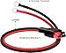 HuaLiSiJi Anderson to O Ring Terminal Cable 12AWG Anderson Style Connector Suitable for Car, Trailer, Solar Generators Battery Charging (1 m)